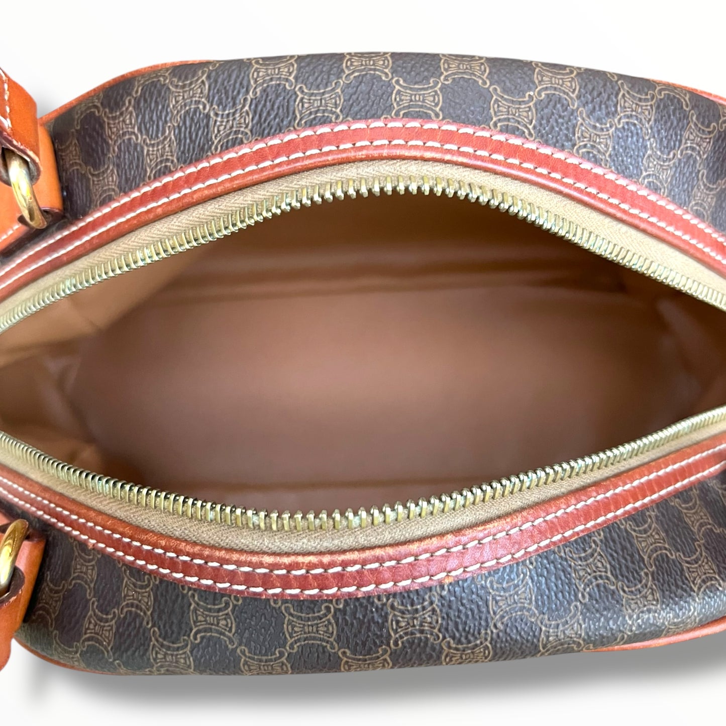 CELINE Triomphe Canvas Medium Handbag