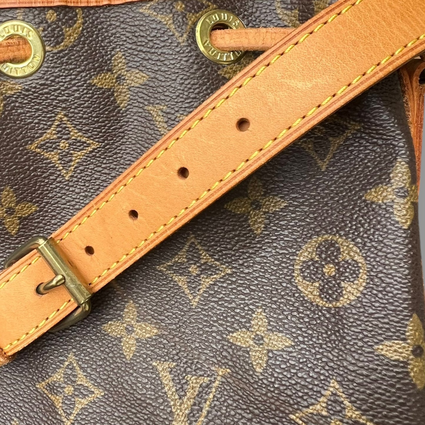 Louis Vuitton Grand Noé Bucket Bag