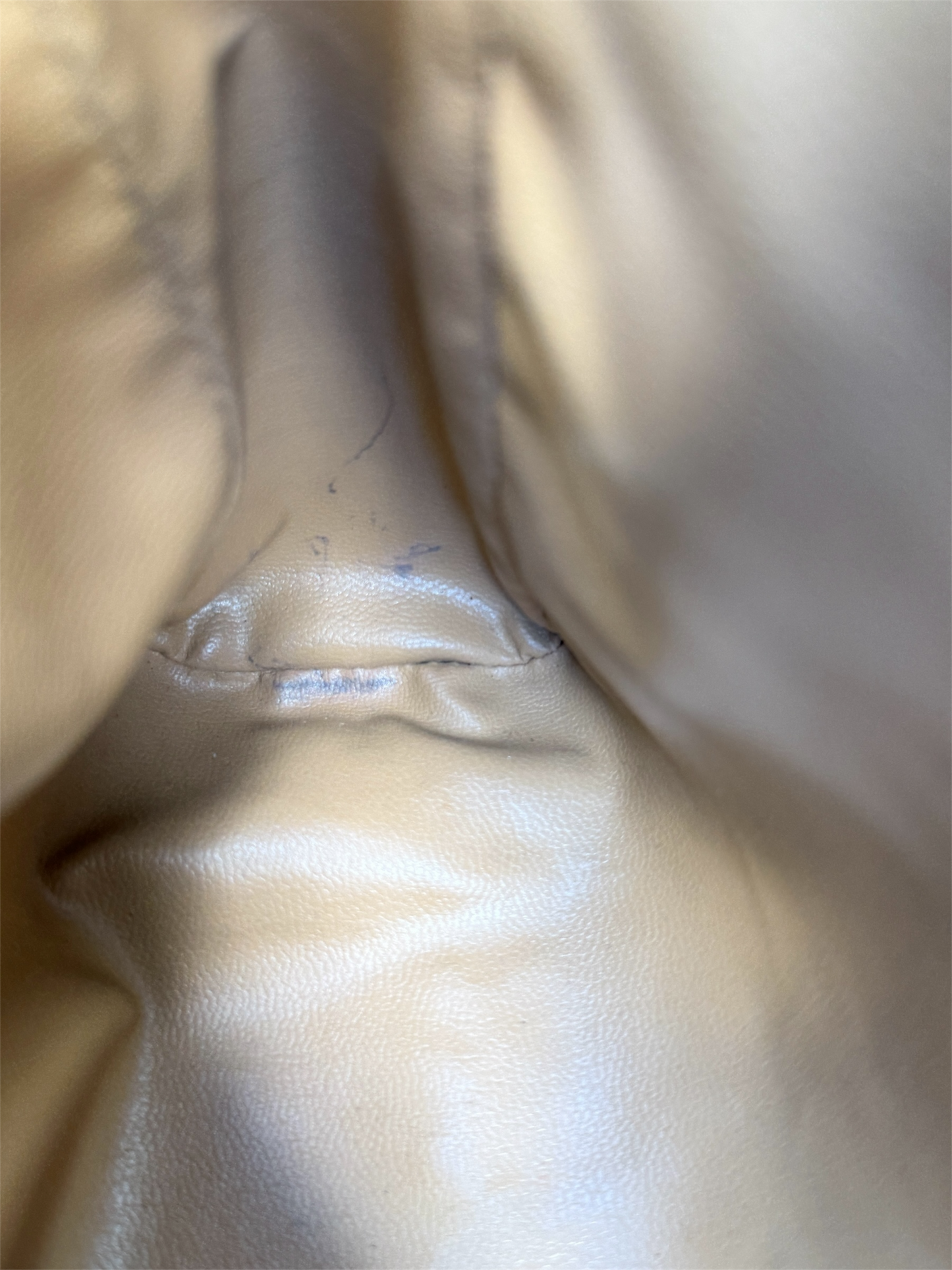 CELINE Triomphe Canvas Clutch Bag