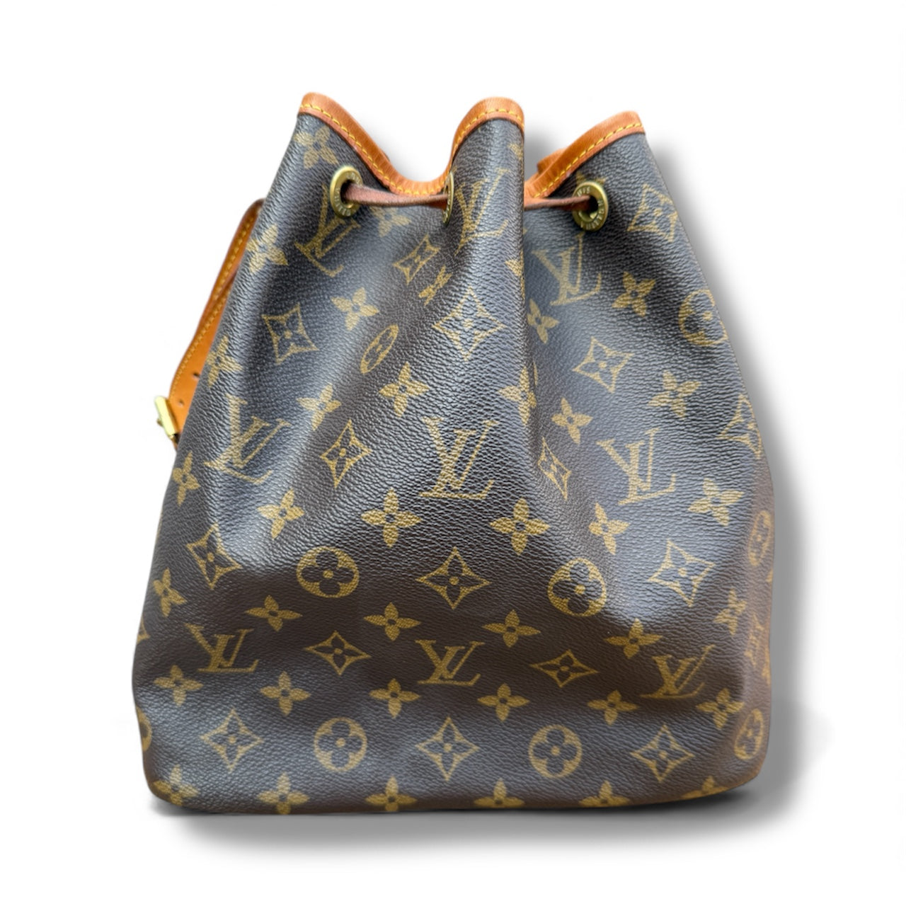 Louis Vuitton Petit Noé Bucket Bag