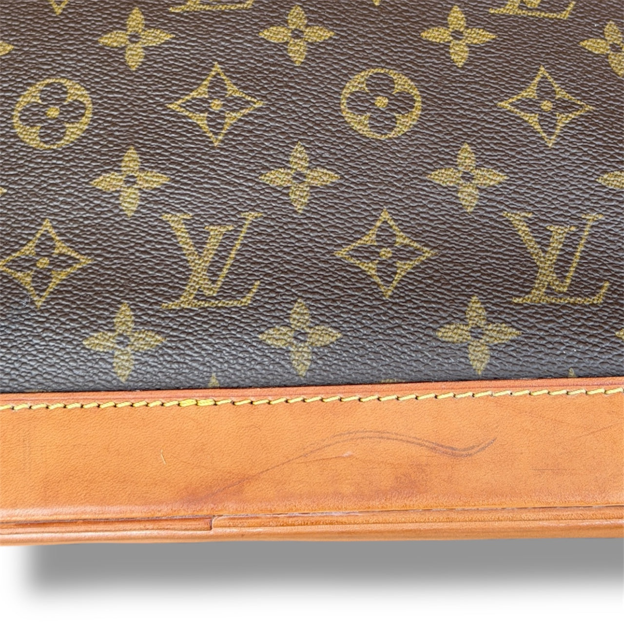 Louis Vuitton Monogram Canvas Alma Bag